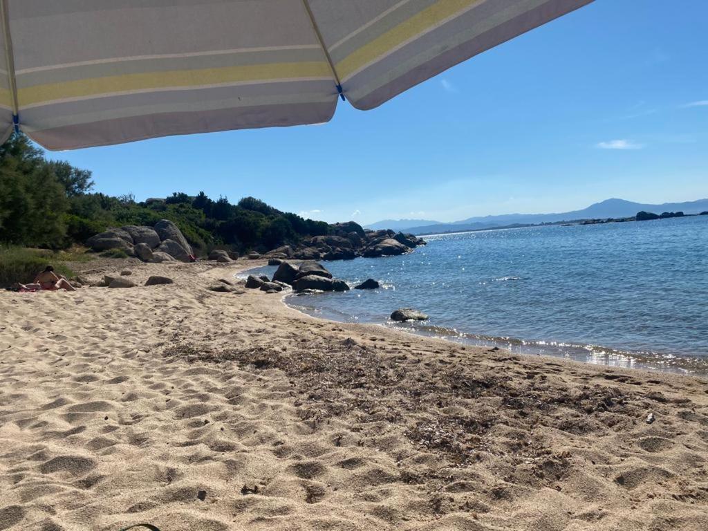Seaside Apartments Casa Carla E Casa Andrea ออลเบีย ภายนอก รูปภาพ